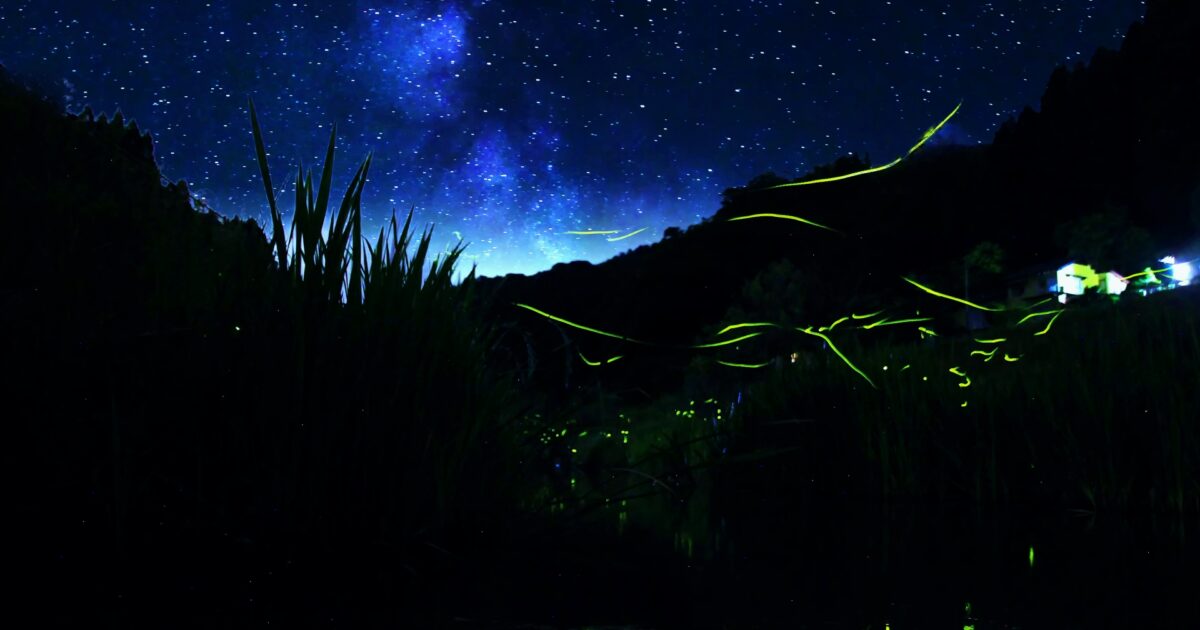 天の川と星空の下で蛍が舞う田園風景