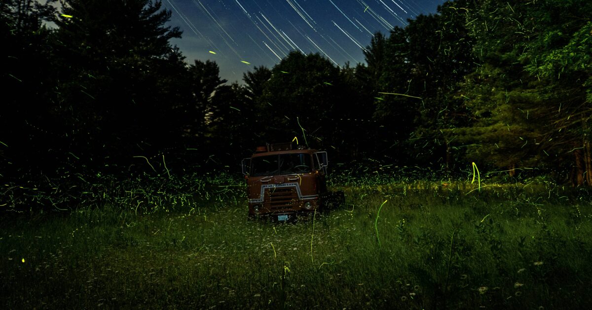 星空の下で蛍が舞う草原に止まった赤いトラック